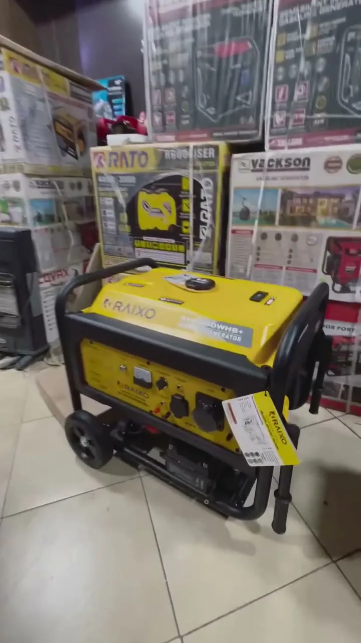 موتور برق رایکسو R10500DWHB+ در فروشگاه نخعیزاده